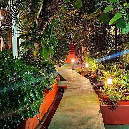 Hospedaje Jose Gorgues Puerto Iguazú Kültér fotó